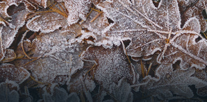 E-liquid flavours for cold weather