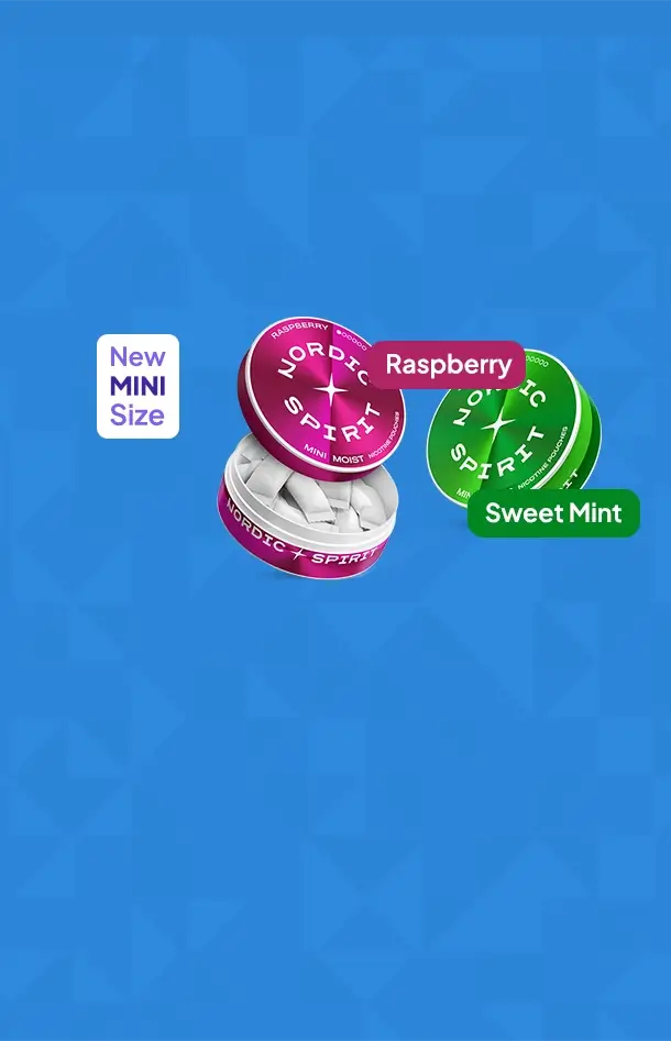 New Nordic Spirit mini nicotine pouches in 2 flavours mini raspberry and sweet mint on a blue patterned background