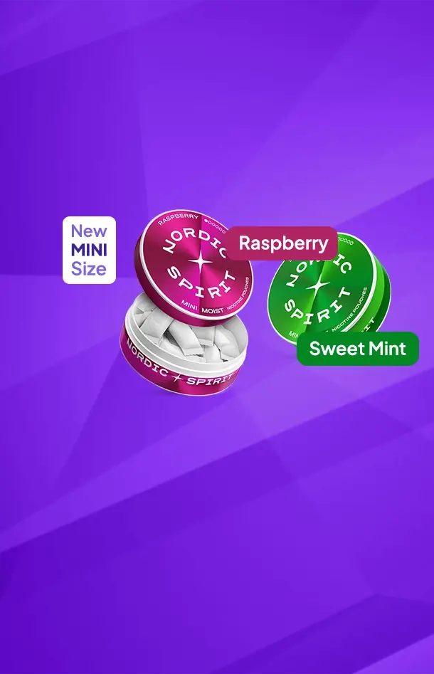 New Nordic Spirit mini nicotine pouches in 2 flavours mini raspberry and sweet mint on a purple patterned background