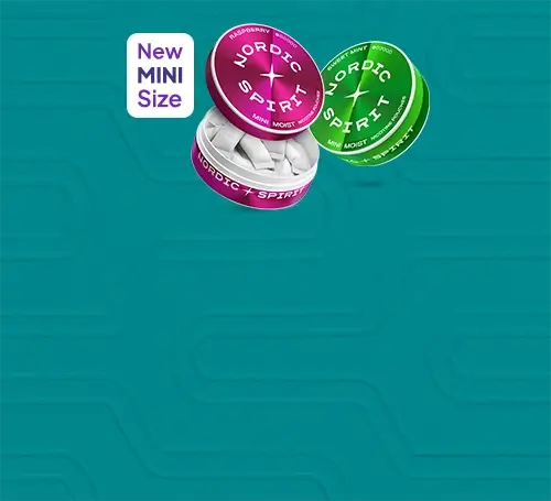 New Nordic Spirit Mini nicotine pouches in raspberry and sweet mint flavours on an aqua green patterned background