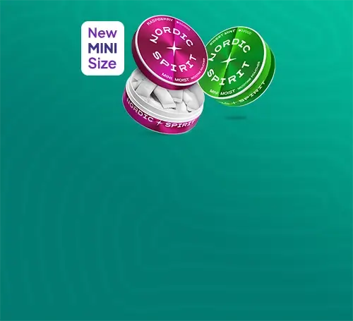 Two new mini tins of Nordic Spirit nic pouches in Raspberry and Sweet Mint flavours. A white label in the top left reads 'New MINI Size' on an aqua green patterned background