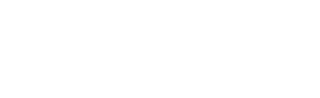 Nordic Spirit logo