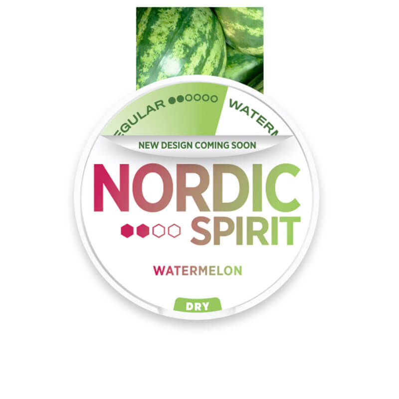 Nordic Spirit Spearmint Nic Pouches